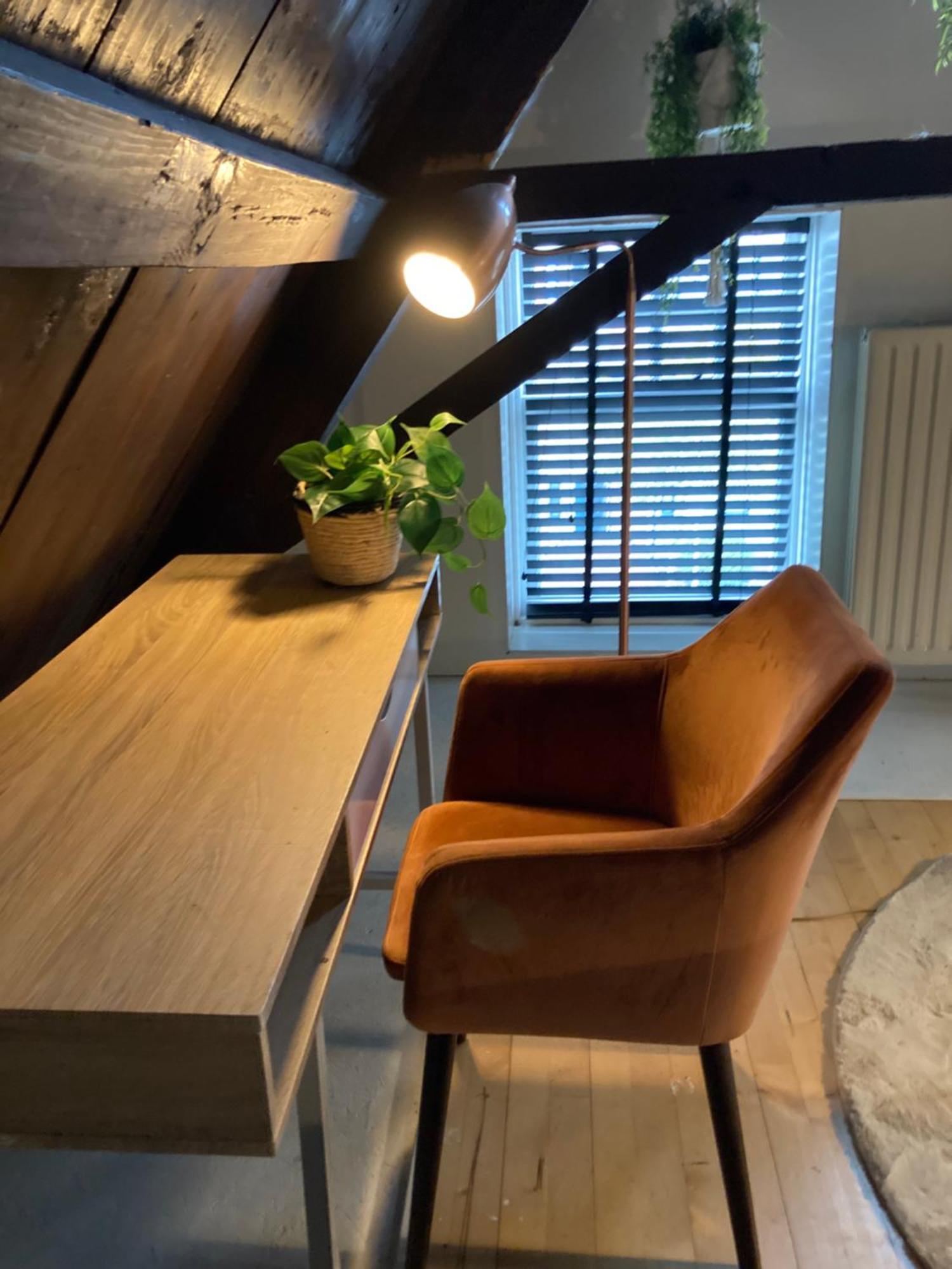 Elegant Appartement In Pakhuis Friesland Centrum Leeuwarden Cameră foto